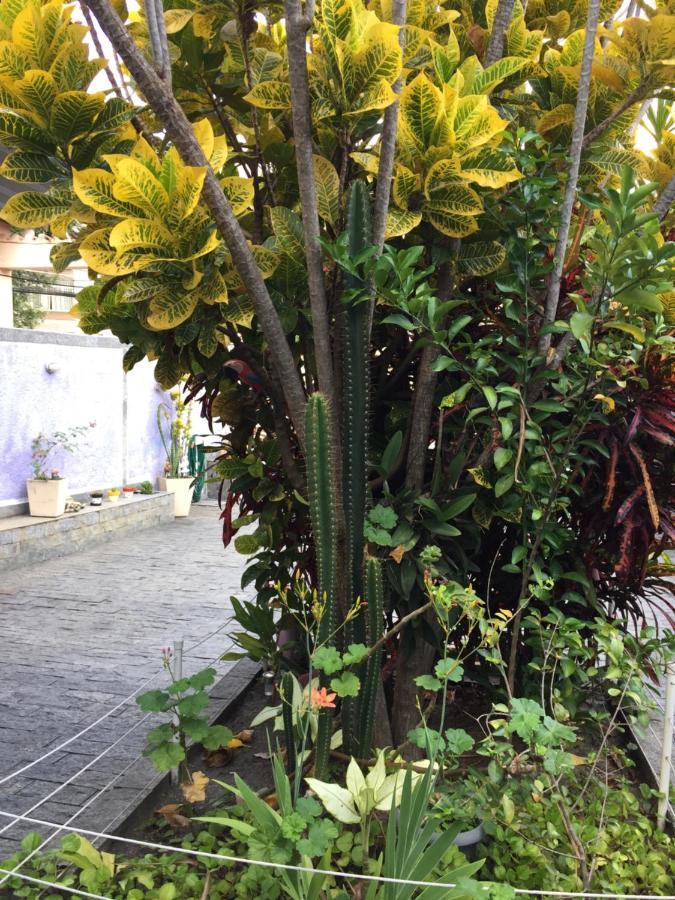 Casa Aconchegante Em Vila Valqueire Rio de Janeiro Kültér fotó